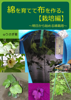 綿を育てて布を作る 栽培編 明日から始める綿栽培 アトリエwうさぎ 綿を育てて布を作る 栽培編 明日から始める綿栽培 アトリエwうさぎ