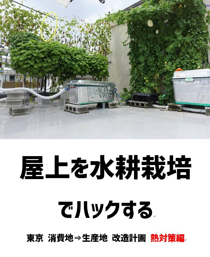 屋上を水耕栽培でハックする 東京 消費地 生産地 改造計画 熱対策編 ベランダゴーヤ研究所