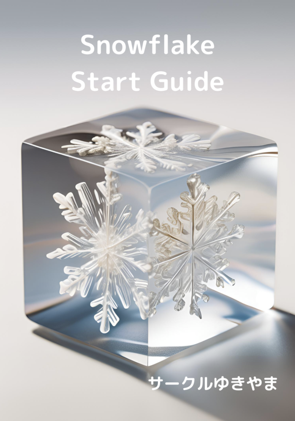 Snowflake Start Guide - Snowflake, dbt, Terraform ：極地分析所